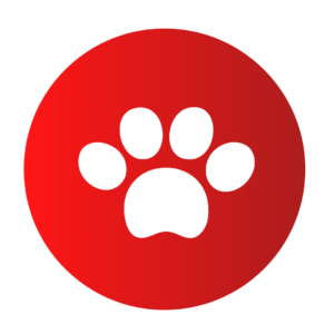 SEGURO PARA MASCOTAS
