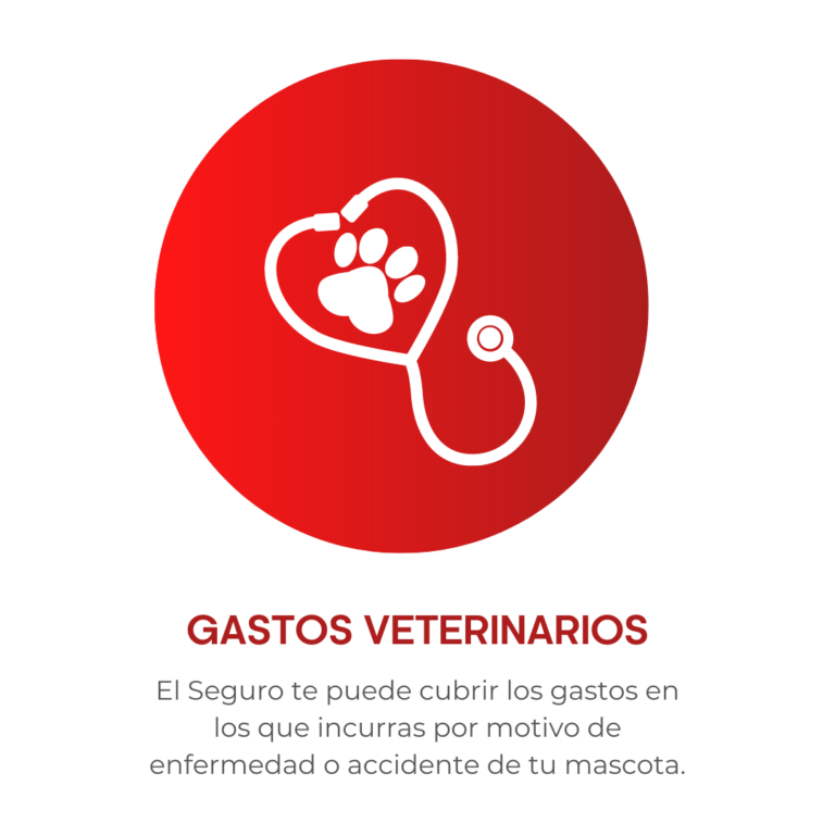 Seguro-mascotas7