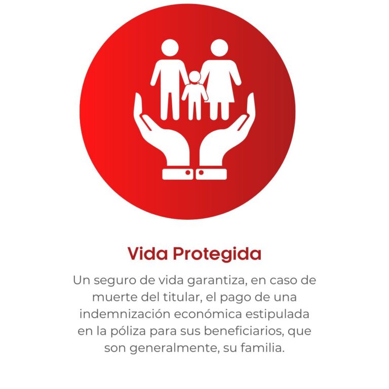 Seguro-de-vida8
