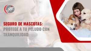 Seguro de mascotas- Gip Seguros-Seguros en Bucaramanga