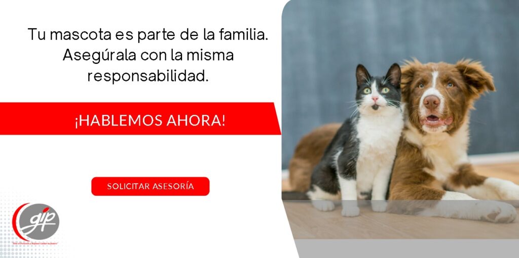 5 razones para asegurar a tu perro o gato en Colombia-Gip Seguros