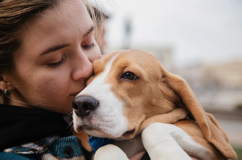 Tipos de seguros - GIP Seguros - seguro de mascotas