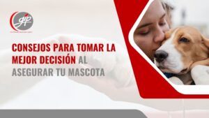 Cuál es el mejor seguro para mascotas en Colombia - GIP seguros