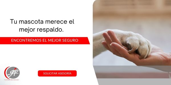 Mejor seguro para mascotas en Colombia - GIP seguros santander