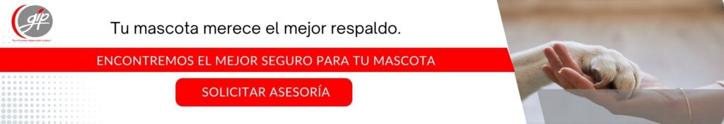 Mejor seguro para mascotas en Santander - GIP seguros